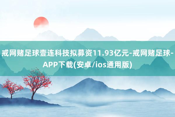 戒网赌足球壹连科技拟募资11.93亿元-戒网赌足球-APP下载(安卓/ios通用版)