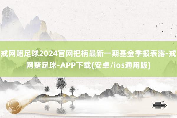 戒网赌足球2024官网把柄最新一期基金季报表露-戒网赌足球-APP下载(安卓/ios通用版)