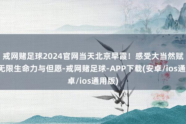 戒网赌足球2024官网当天北京早霞！感受大当然赋予的无限生命力与但愿-戒网赌足球-APP下载(安卓/ios通用版)
