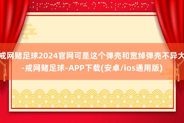 戒网赌足球2024官网可是这个弹壳和宽绰弹壳不异大-戒网赌足球-APP下载(安卓/ios通用版)