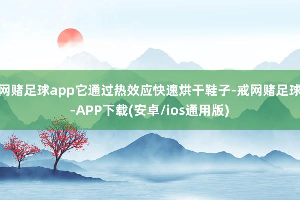 网赌足球app它通过热效应快速烘干鞋子-戒网赌足球-APP下载(安卓/ios通用版)