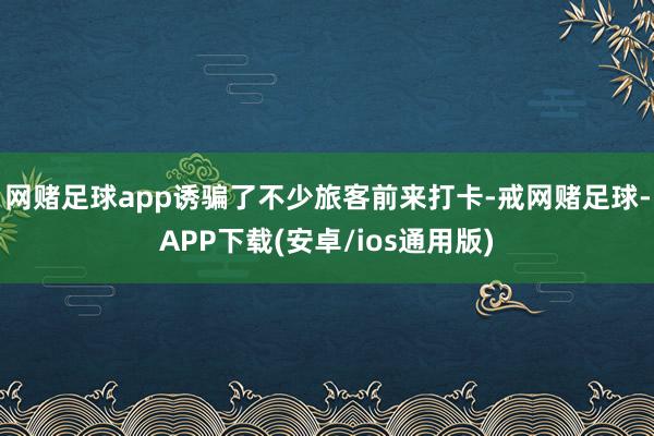 网赌足球app诱骗了不少旅客前来打卡-戒网赌足球-APP下载(安卓/ios通用版)