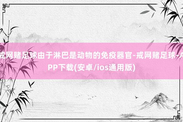戒网赌足球由于淋巴是动物的免疫器官-戒网赌足球-APP下载(安卓/ios通用版)