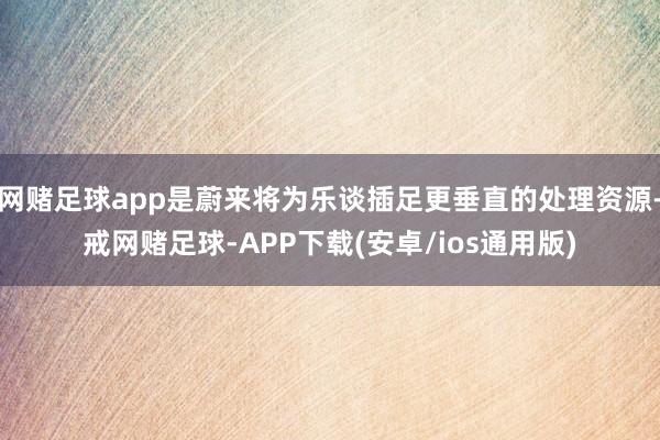 网赌足球app是蔚来将为乐谈插足更垂直的处理资源-戒网赌足球-APP下载(安卓/ios通用版)