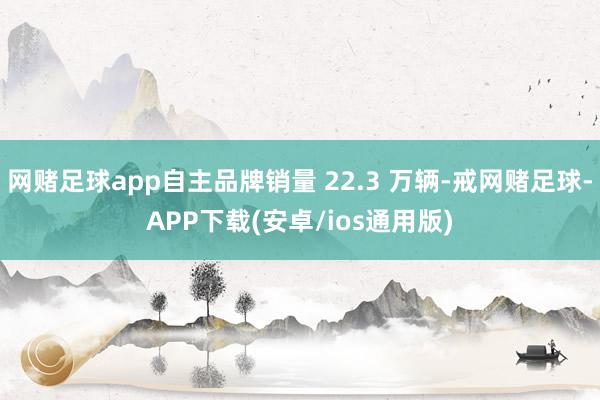 网赌足球app自主品牌销量 22.3 万辆-戒网赌足球-APP下载(安卓/ios通用版)