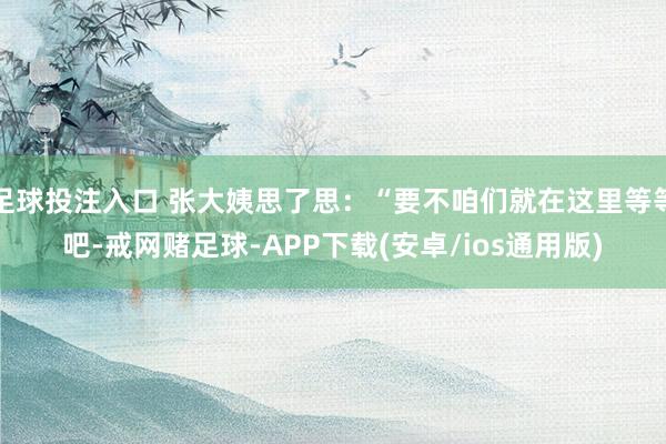 足球投注入口 张大姨思了思：“要不咱们就在这里等等吧-戒网赌足球-APP下载(安卓/ios通用版)