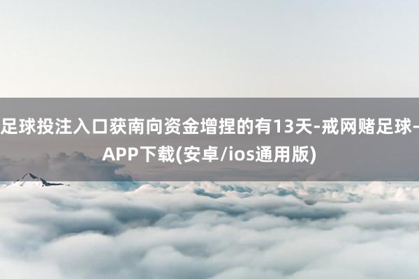足球投注入口获南向资金增捏的有13天-戒网赌足球-APP下载(安卓/ios通用版)