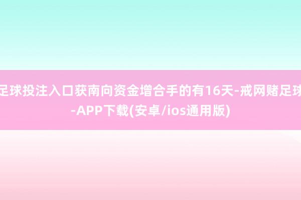 足球投注入口获南向资金增合手的有16天-戒网赌足球-APP下载(安卓/ios通用版)