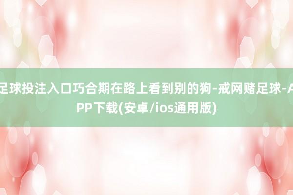 足球投注入口巧合期在路上看到别的狗-戒网赌足球-APP下载(安卓/ios通用版)