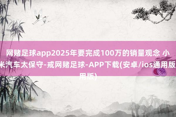 网赌足球app2025年要完成100万的销量观念 小米汽车太保守-戒网赌足球-APP下载(安卓/ios通用版)
