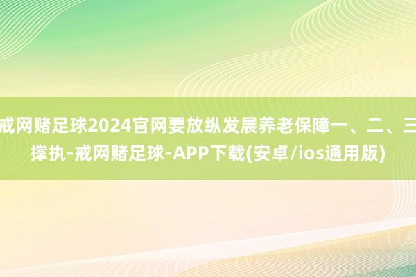 戒网赌足球2024官网要放纵发展养老保障一、二、三撑执-戒网赌足球-APP下载(安卓/ios通用版)