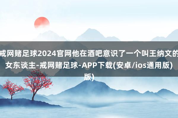 戒网赌足球2024官网他在酒吧意识了一个叫王纳文的女东谈主-戒网赌足球-APP下载(安卓/ios通用版)