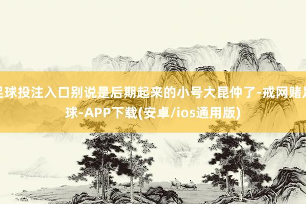 足球投注入口别说是后期起来的小号大昆仲了-戒网赌足球-APP下载(安卓/ios通用版)