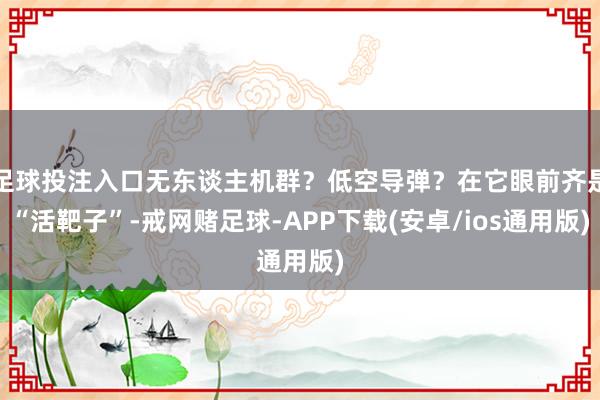 足球投注入口无东谈主机群？低空导弹？在它眼前齐是“活靶子”-戒网赌足球-APP下载(安卓/ios通用版)