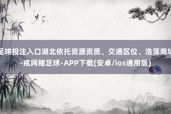 足球投注入口湖北依托资源资质、交通区位、浩荡商场-戒网赌足球-APP下载(安卓/ios通用版)