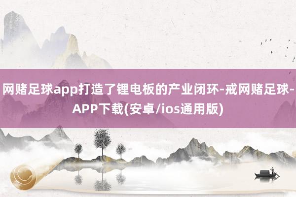 网赌足球app打造了锂电板的产业闭环-戒网赌足球-APP下载(安卓/ios通用版)