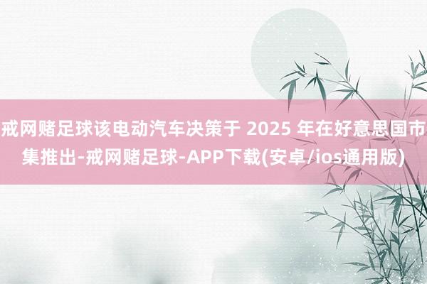 戒网赌足球该电动汽车决策于 2025 年在好意思国市集推出-戒网赌足球-APP下载(安卓/ios通用版)
