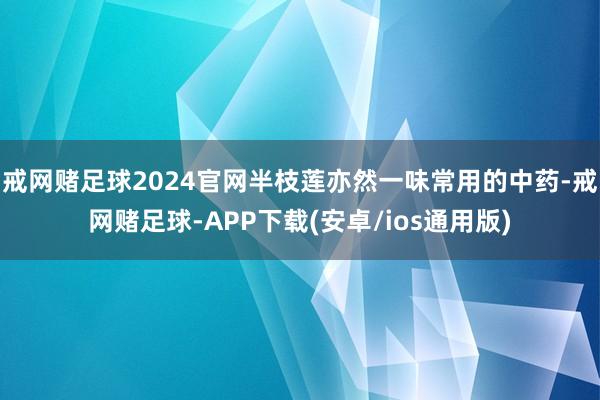 戒网赌足球2024官网半枝莲亦然一味常用的中药-戒网赌足球-APP下载(安卓/ios通用版)