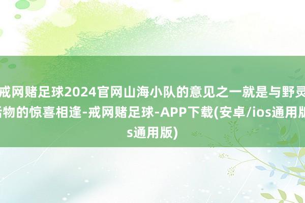 戒网赌足球2024官网山海小队的意见之一就是与野灵活物的惊喜相逢-戒网赌足球-APP下载(安卓/ios通用版)