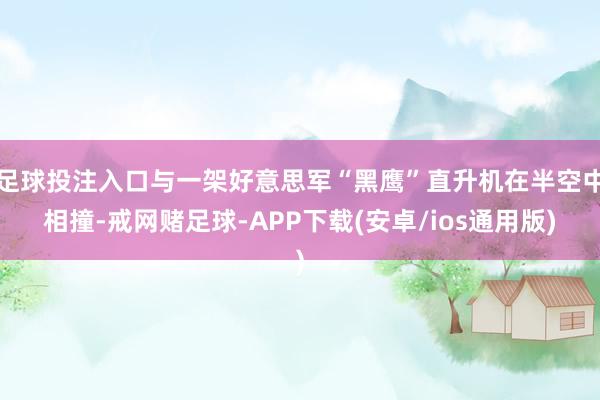 足球投注入口与一架好意思军“黑鹰”直升机在半空中相撞-戒网赌足球-APP下载(安卓/ios通用版)