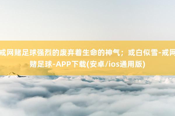 戒网赌足球强烈的废弃着生命的神气；或白似雪-戒网赌足球-APP下载(安卓/ios通用版)