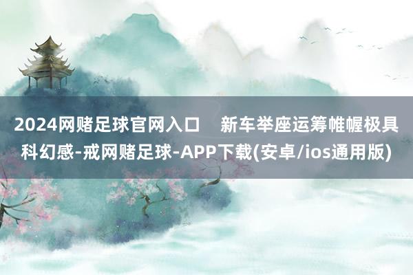 2024网赌足球官网入口    新车举座运筹帷幄极具科幻感-戒网赌足球-APP下载(安卓/ios通用版)