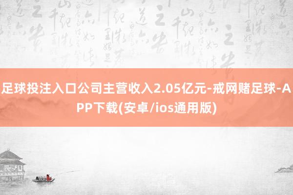 足球投注入口公司主营收入2.05亿元-戒网赌足球-APP下载(安卓/ios通用版)