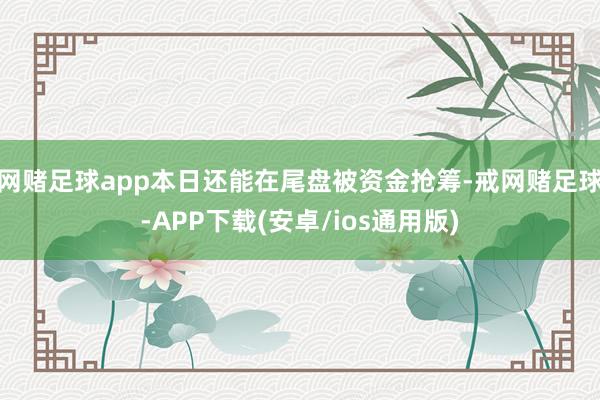 网赌足球app本日还能在尾盘被资金抢筹-戒网赌足球-APP下载(安卓/ios通用版)