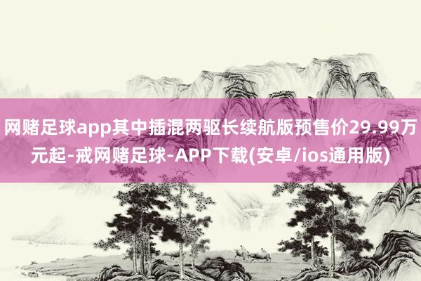网赌足球app其中插混两驱长续航版预售价29.99万元起-戒网赌足球-APP下载(安卓/ios通用版)