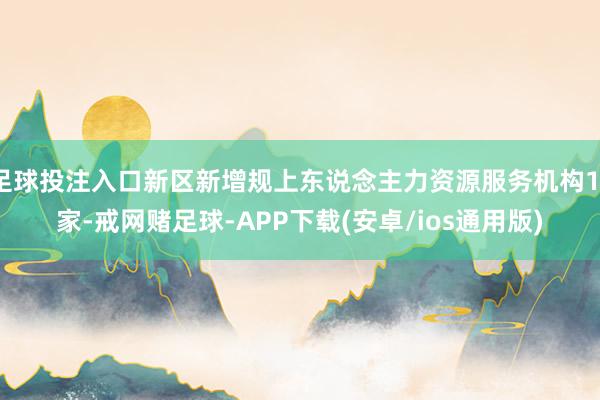足球投注入口新区新增规上东说念主力资源服务机构11家-戒网赌足球-APP下载(安卓/ios通用版)