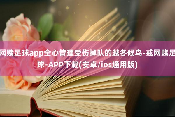 网赌足球app全心管理受伤掉队的越冬候鸟-戒网赌足球-APP下载(安卓/ios通用版)