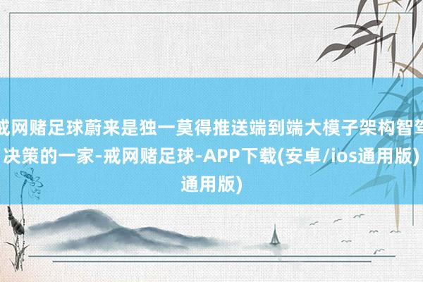 戒网赌足球蔚来是独一莫得推送端到端大模子架构智驾决策的一家-戒网赌足球-APP下载(安卓/ios通用版)