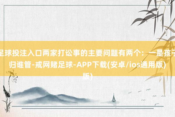 足球投注入口两家打讼事的主要问题有两个：一是孩子归谁管-戒网赌足球-APP下载(安卓/ios通用版)