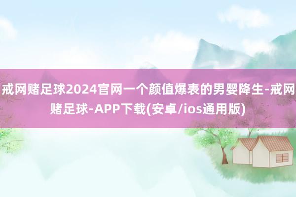 戒网赌足球2024官网一个颜值爆表的男婴降生-戒网赌足球-APP下载(安卓/ios通用版)