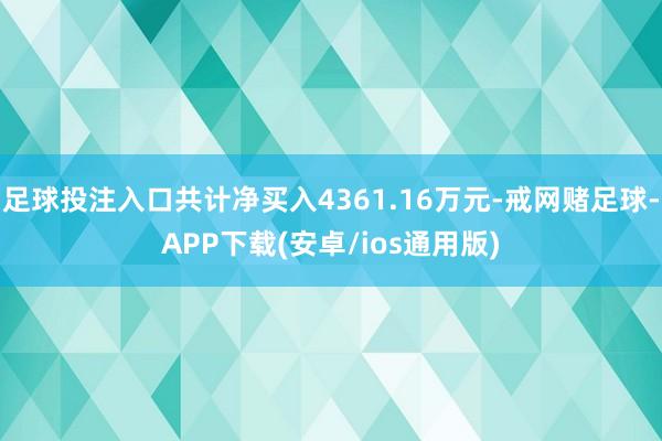 足球投注入口共计净买入4361.16万元-戒网赌足球-APP下载(安卓/ios通用版)