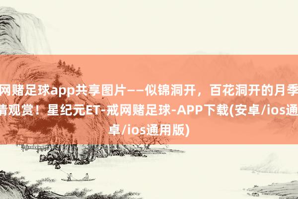网赌足球app共享图片——似锦洞开，百花洞开的月季花，请观赏！星纪元ET-戒网赌足球-APP下载(安卓/ios通用版)