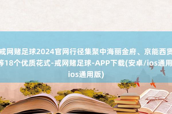 戒网赌足球2024官网行径集聚中海丽金府、京能西贤府等18个优质花式-戒网赌足球-APP下载(安卓/ios通用版)