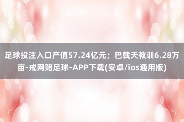 足球投注入口产值57.24亿元；巴戟天教训6.28万亩-戒网赌足球-APP下载(安卓/ios通用版)