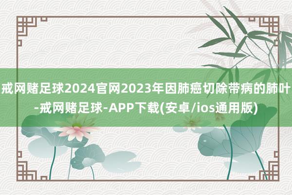 戒网赌足球2024官网2023年因肺癌切除带病的肺叶-戒网赌足球-APP下载(安卓/ios通用版)