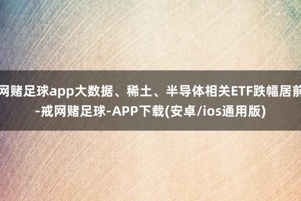 网赌足球app大数据、稀土、半导体相关ETF跌幅居前-戒网赌足球-APP下载(安卓/ios通用版)
