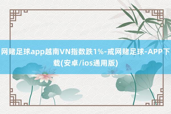 网赌足球app越南VN指数跌1%-戒网赌足球-APP下载(安卓/ios通用版)