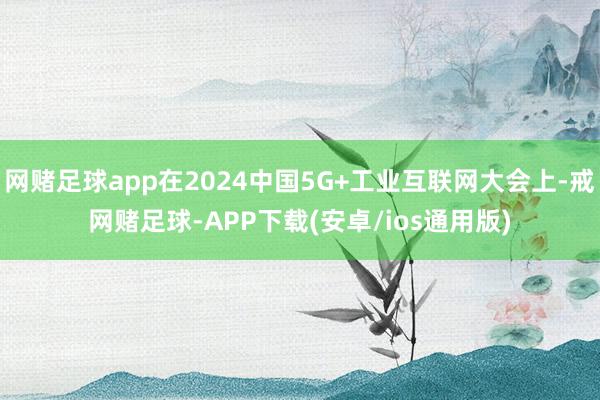 网赌足球app在2024中国5G+工业互联网大会上-戒网赌足球-APP下载(安卓/ios通用版)