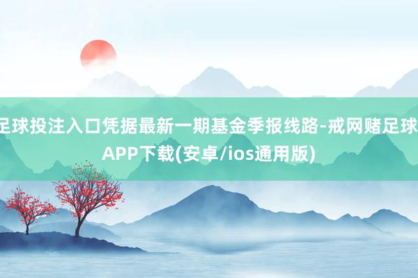 足球投注入口凭据最新一期基金季报线路-戒网赌足球-APP下载(安卓/ios通用版)
