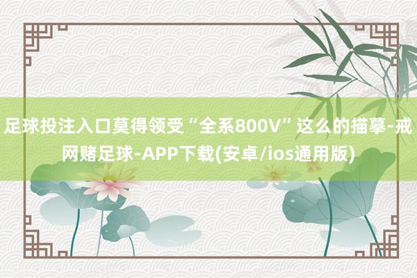 足球投注入口莫得领受“全系800V”这么的描摹-戒网赌足球-APP下载(安卓/ios通用版)