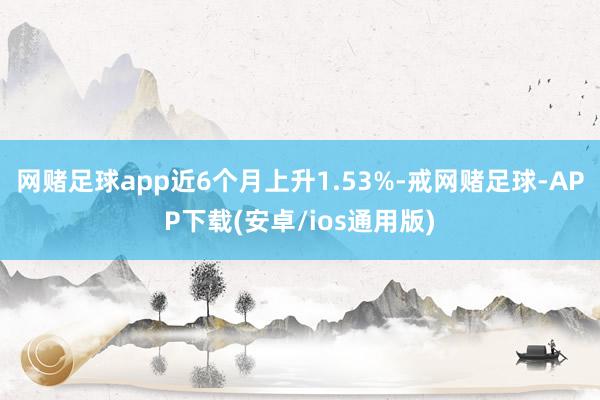 网赌足球app近6个月上升1.53%-戒网赌足球-APP下载(安卓/ios通用版)