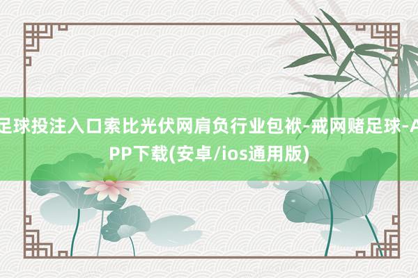 足球投注入口索比光伏网肩负行业包袱-戒网赌足球-APP下载(安卓/ios通用版)