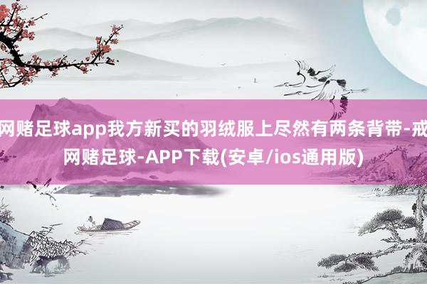 网赌足球app我方新买的羽绒服上尽然有两条背带-戒网赌足球-APP下载(安卓/ios通用版)