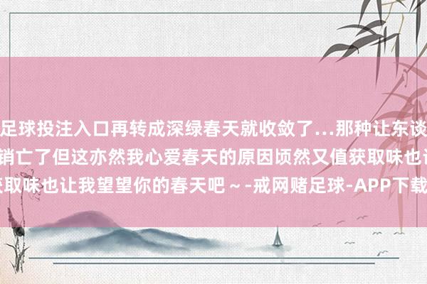 足球投注入口再转成深绿春天就收敛了…那种让东谈主没来由地直爽的味谈也销亡了但这亦然我心爱春天的原因顷然又值获取味也让我望望你的春天吧~-戒网赌足球-APP下载(安卓/ios通用版)