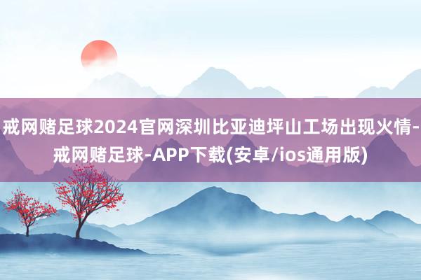 戒网赌足球2024官网深圳比亚迪坪山工场出现火情-戒网赌足球-APP下载(安卓/ios通用版)