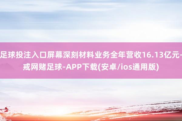 足球投注入口屏幕深刻材料业务全年营收16.13亿元-戒网赌足球-APP下载(安卓/ios通用版)